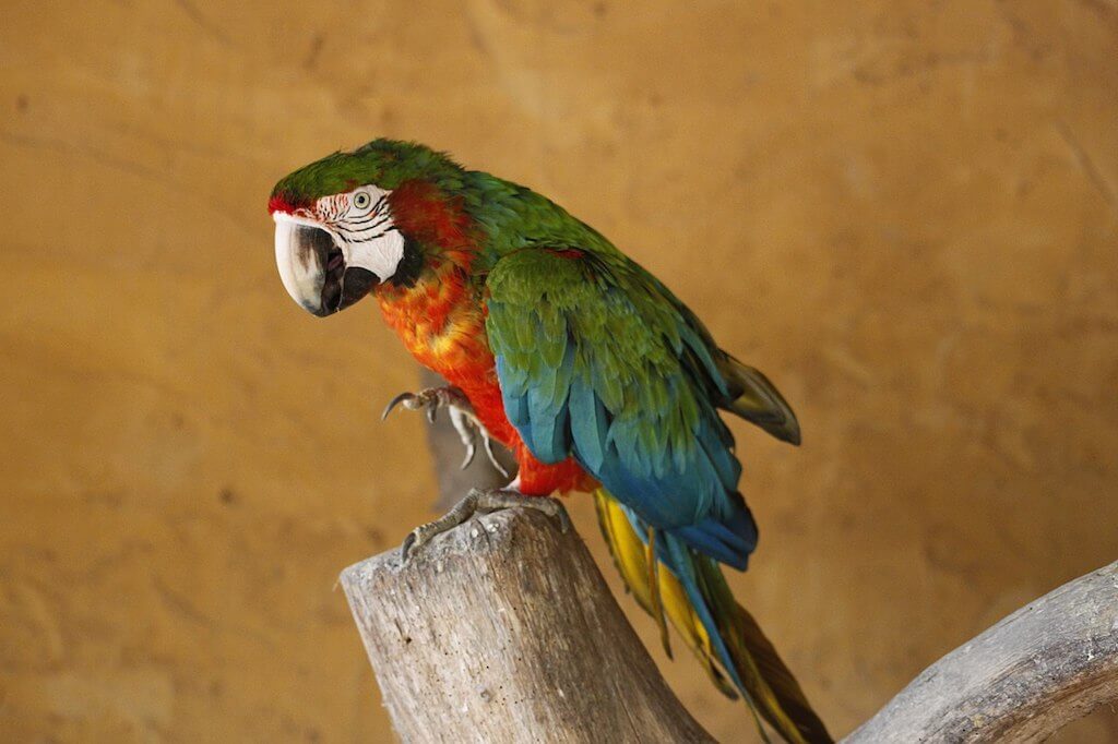 Les Trésors de Janie | Gîtes Port-Saint-Père