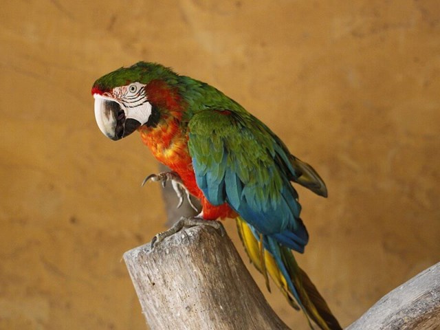 Les Trésors de Janie | Gîtes Port-Saint-Père
